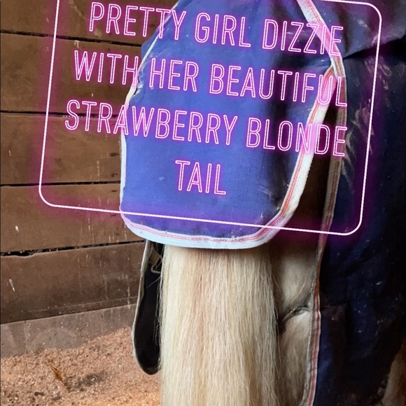 Meet your Posher, Jenny - Picture 5 of 17